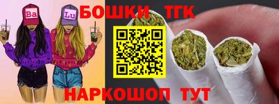 индика Заводоуковск