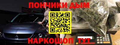 индика Заводоуковск