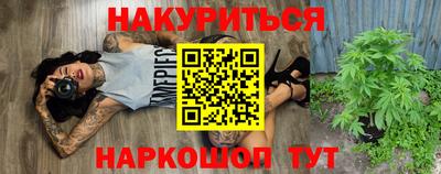 индика Заводоуковск