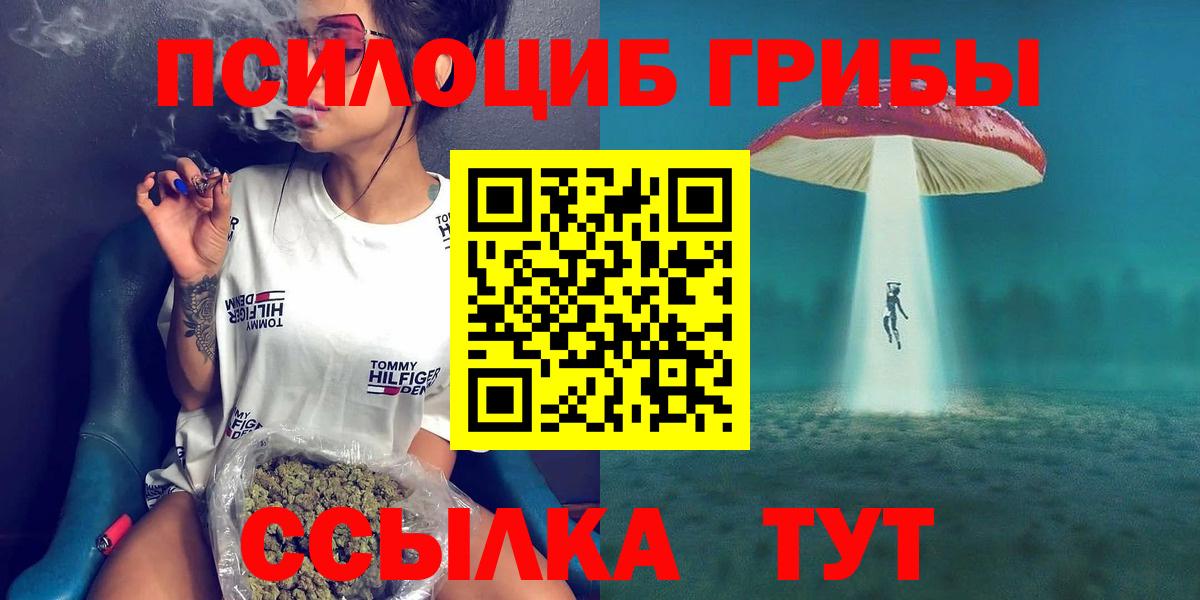Ликино-Дулёво  Псилоцибиновые грибы GOLDEN TEACHER  Вход с VPN  Галлюциногенные грибы GOLDEN TEACHER 